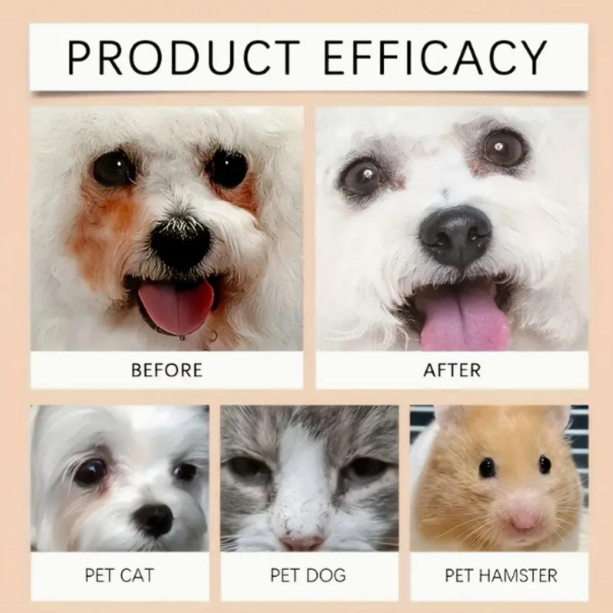 3pcs pet grooming kit