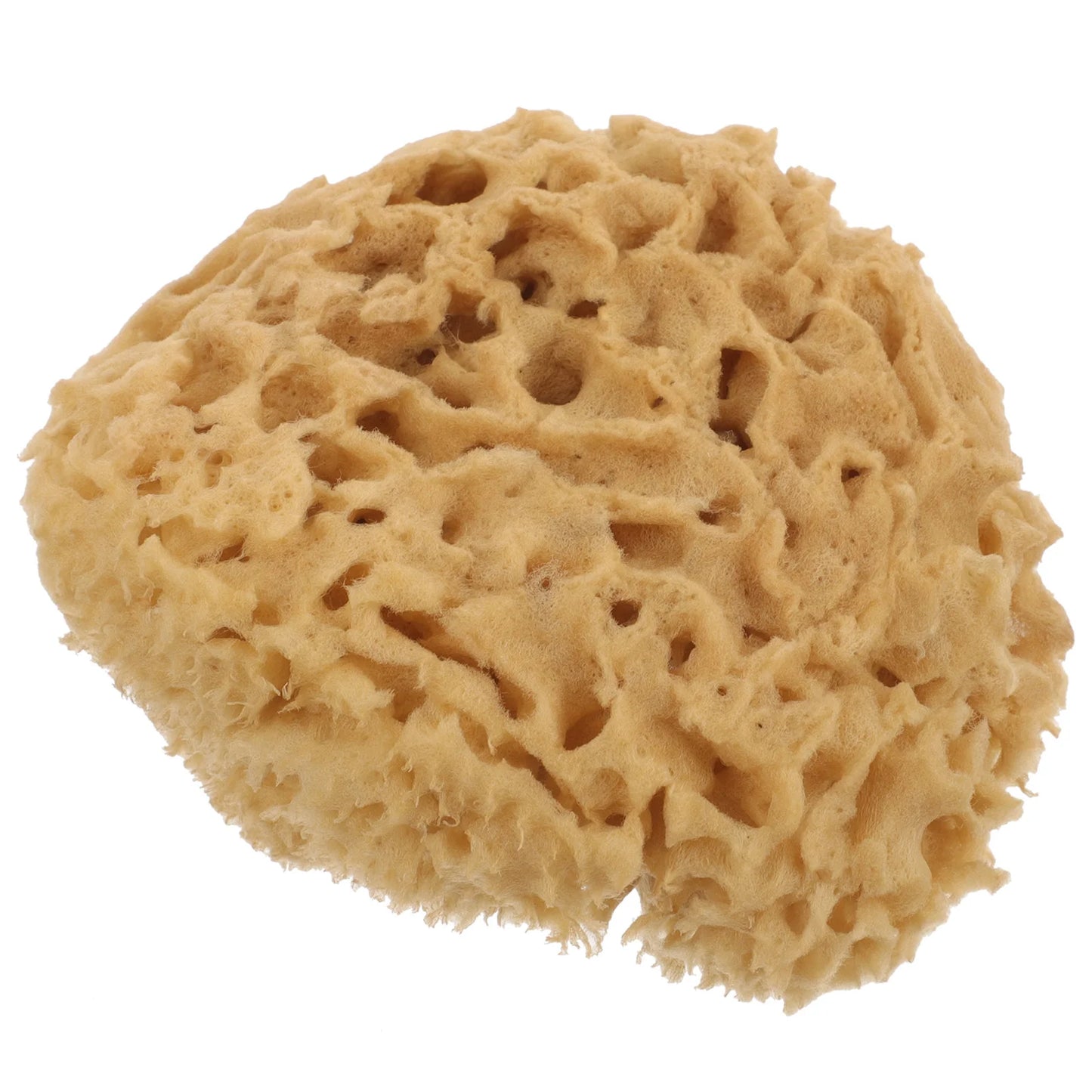 Bath Back Sponge Bathing Ball Back Scrubber