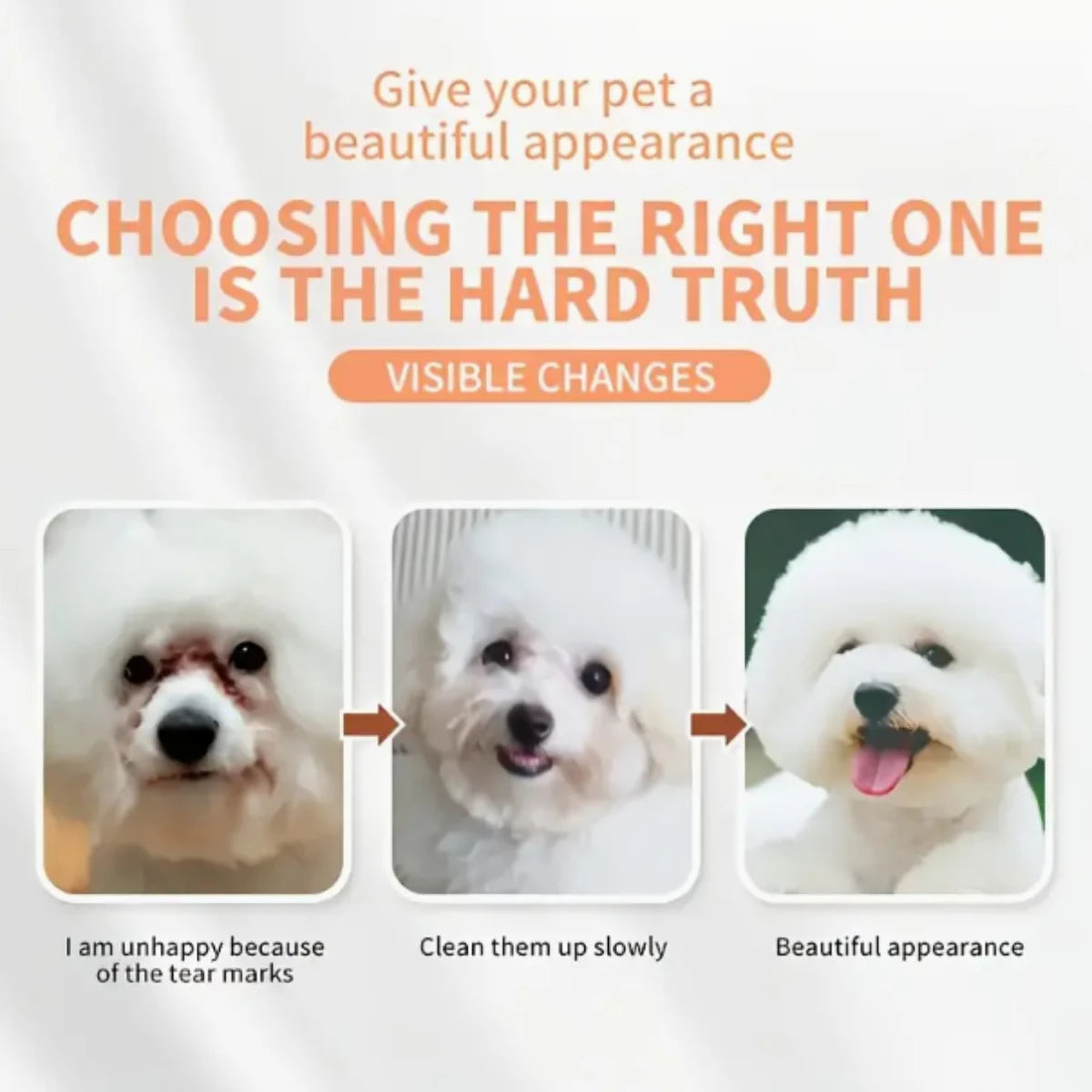 3pcs pet grooming kit