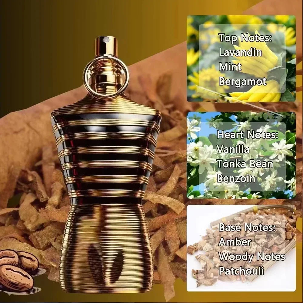 Le Male Le Parfum Gaultier for Men Eau de Parfum Intense Spray Luxury Cologne