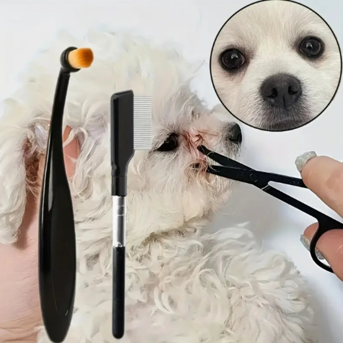 3pcs pet grooming kit
