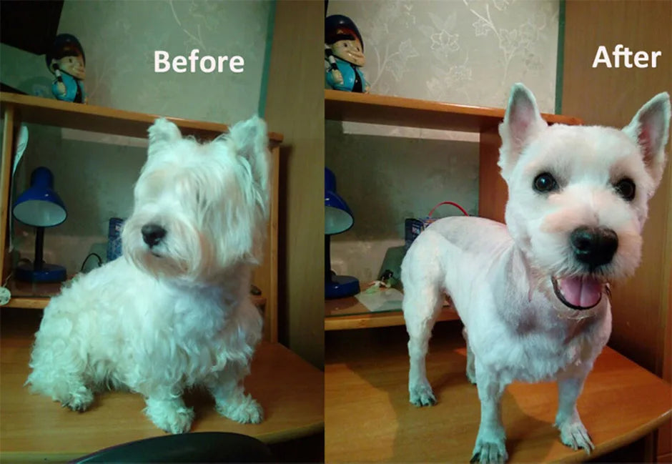 Haircut Trimmer Shaver Set Pets Fader