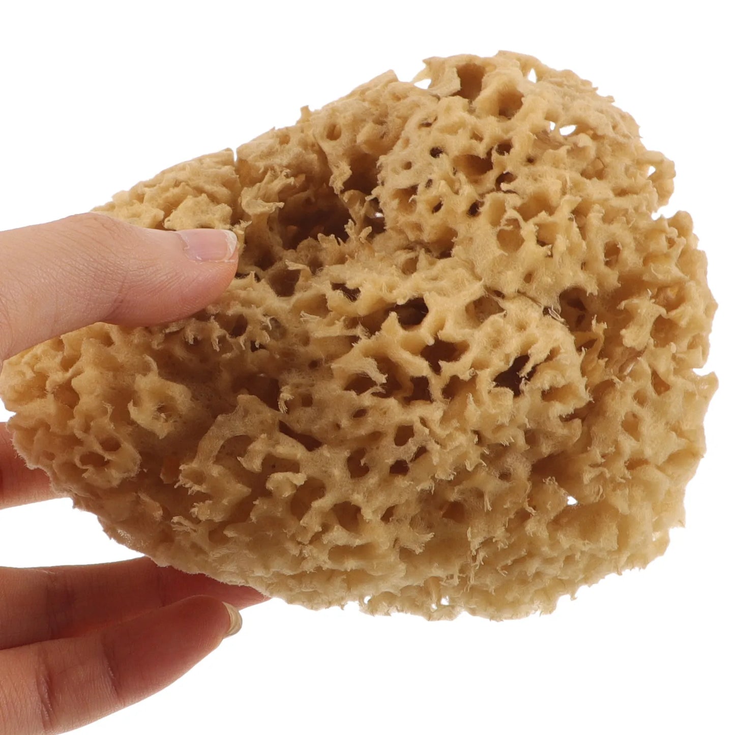 Bath Back Sponge Bathing Ball Back Scrubber
