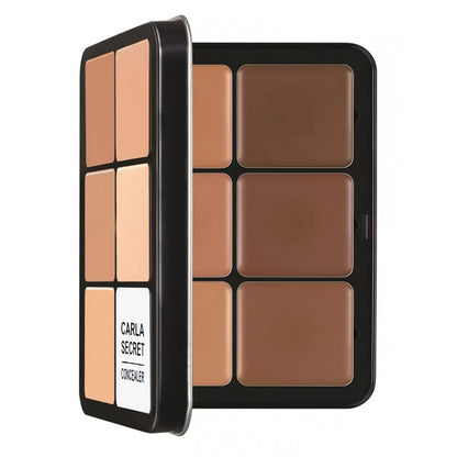 12 Color concealer Palette